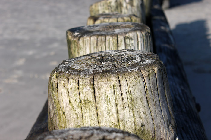 Pfahlbuhne M im Detail