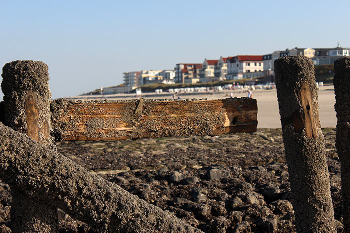 Pfahlbuhne M am Hauptstrand