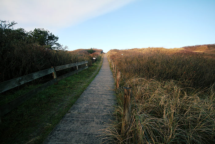 D&uuml;nen&uuml;berwegung Saline