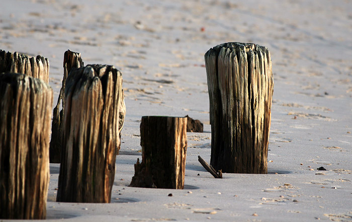 Verwitterte Pf&auml;hle im Osten