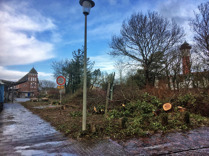 Rodungsarbeiten am Bahnsteig