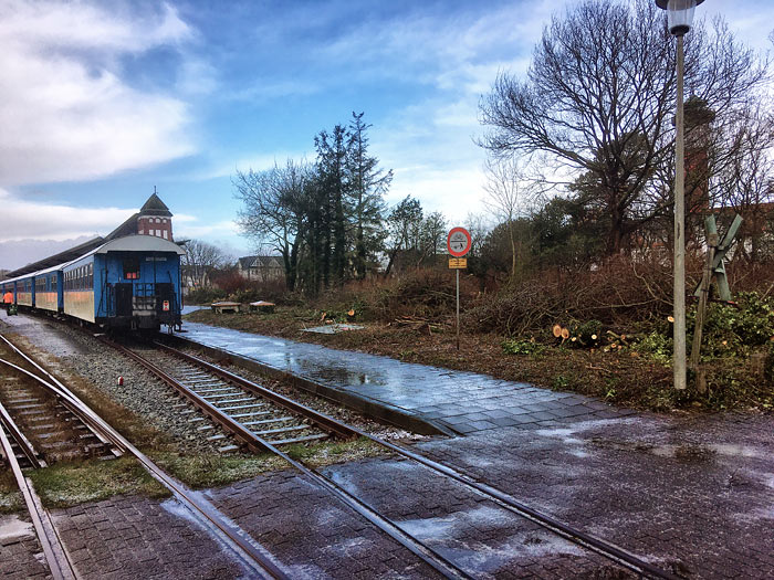 Rodungsarbeiten am Bahnsteig