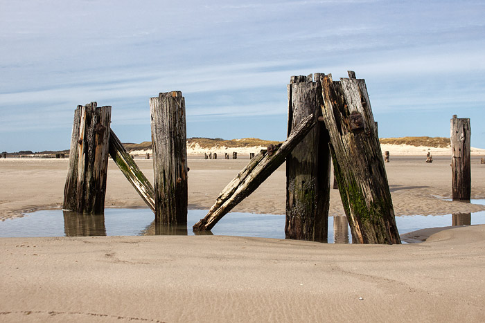 Dalben am ehemaligen Ostanleger