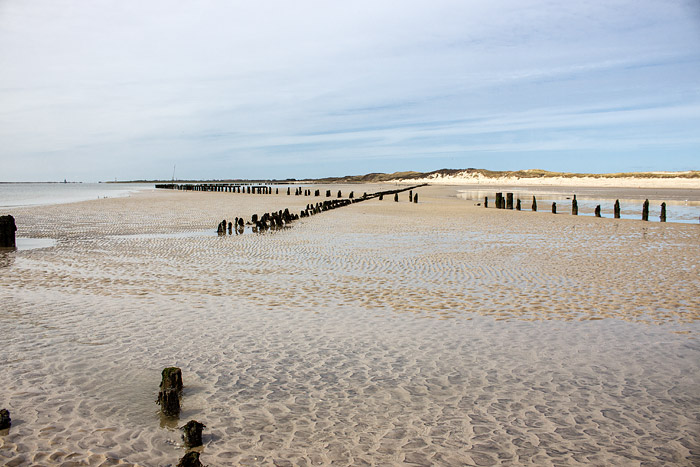 Pf&auml;hle im Osten