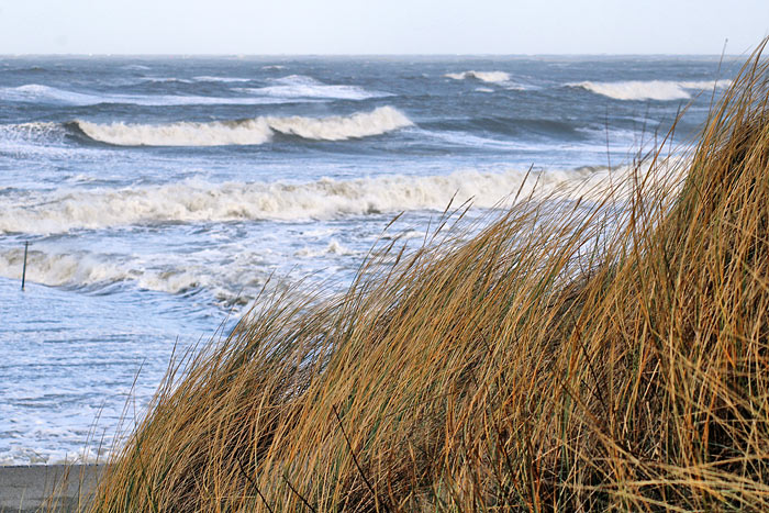 St&uuml;rmischer Tag