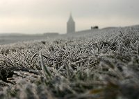 Reif am Westgrodendeich
