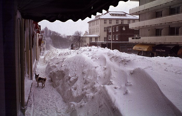 Schneemassen in der Zedeliusstra&szlig;e