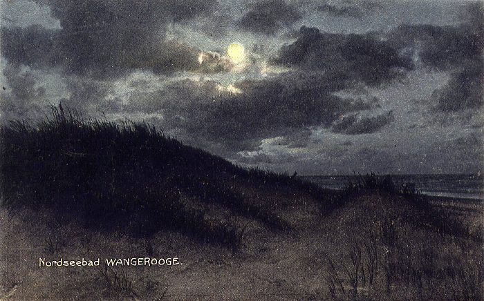 D&uuml;nen im Mondschein