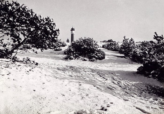 Verschneite Osterd&uuml;nen