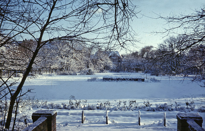 Verschneiter Rosengarten