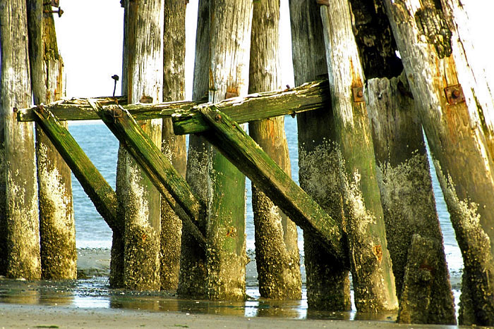 Dalben am ehemaligen Ostanleger