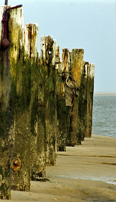 Dalben am ehemaligen Ostanleger