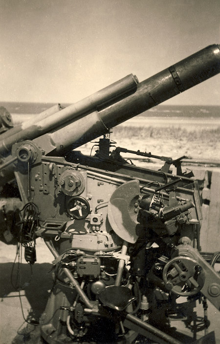 Gesch&uuml;tzstellung in den D&uuml;nen