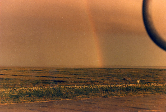 Regenbogen über dem Deichvorland