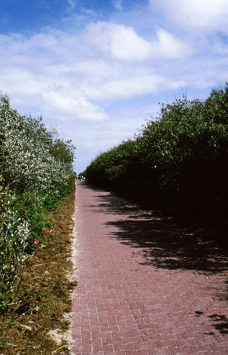 Stra&szlig;e zum Osten