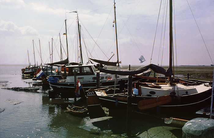 Segelboote im Yachthafen