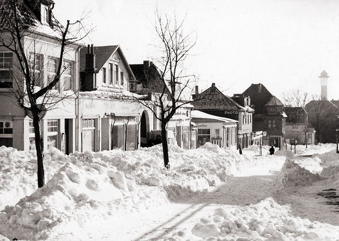 Wei&szlig;e Pracht in der Zedeliusstra&szlig;e