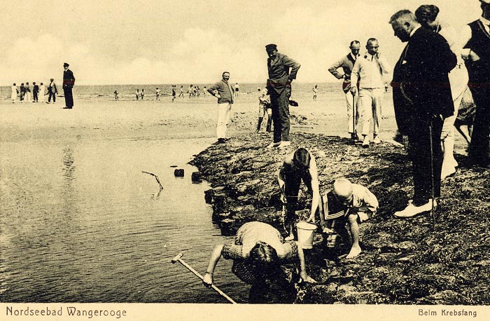 Beim Krebsfang