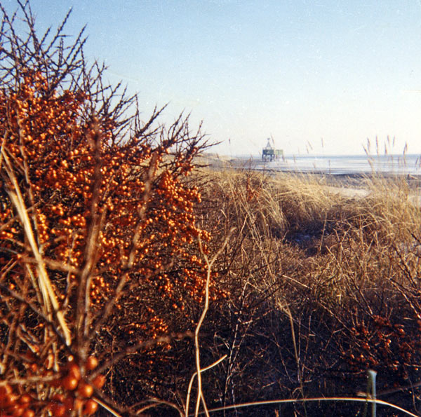 Blick von den Ostd&uuml;nen zur Ostbake
