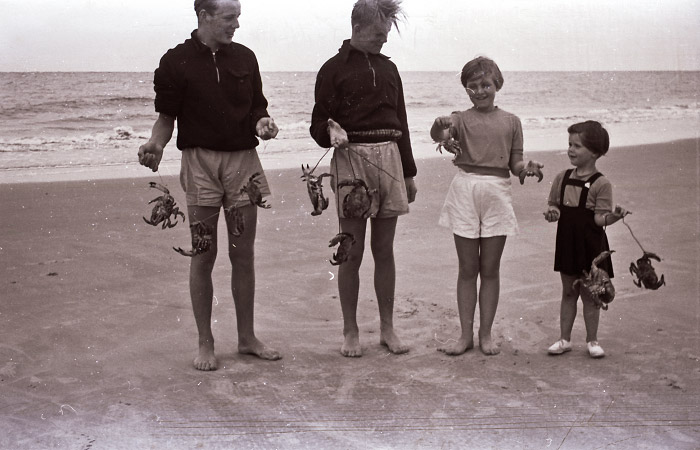 Reiche Taschenkrebs-Beute