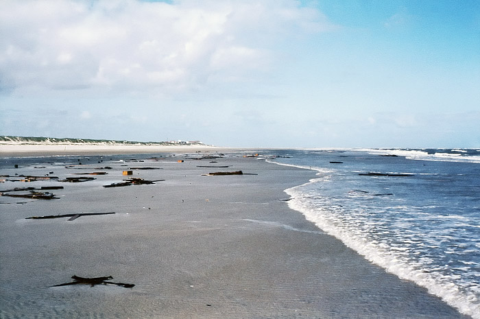 Strandgut nach dem Sturm