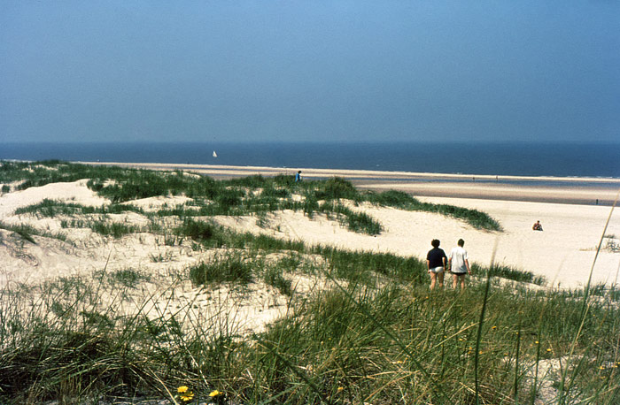 Wei&szlig;d&uuml;nen im Osten