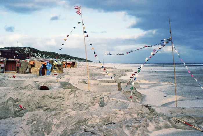 Westfeld nach dem Sturm