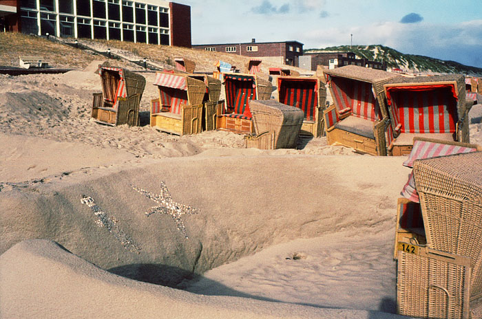 Gerettete Westfeld-Strandk&ouml;rbe