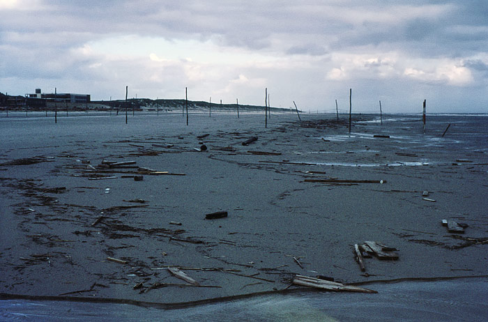 Angetriebenes Strandgut nach der Sturmflut