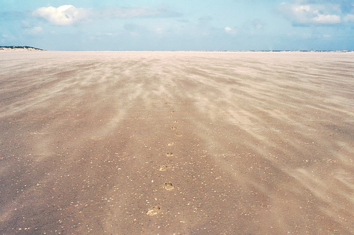 Flugsand am Oststrand