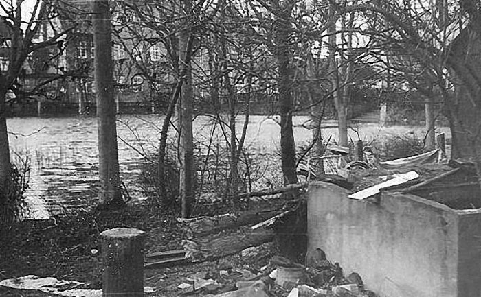 Vollgelaufener Rosengarten