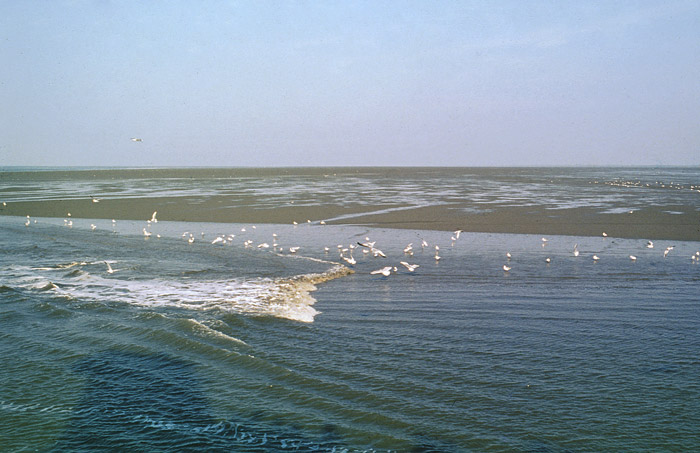 &Uuml;berfahrt mit der MS &raquo;Wangerooge&laquo;
