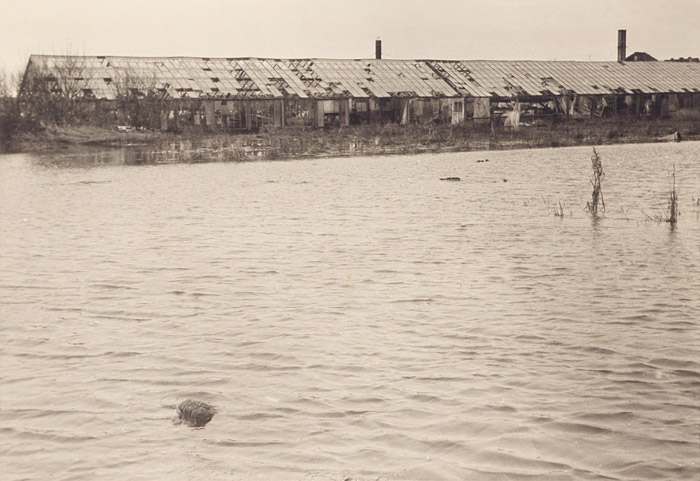 G&auml;rtnerei im Dorfgroden