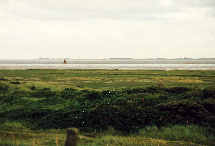 Im Ostteil der Insel