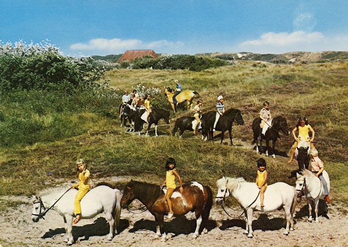 Ponyreiten in den D&uuml;nen