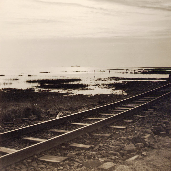 Inselbahn-Gleise im Westau&szlig;engroden