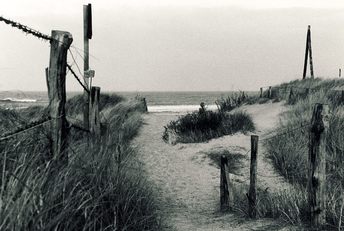 D&uuml;nen&uuml;berwegung Neudeich