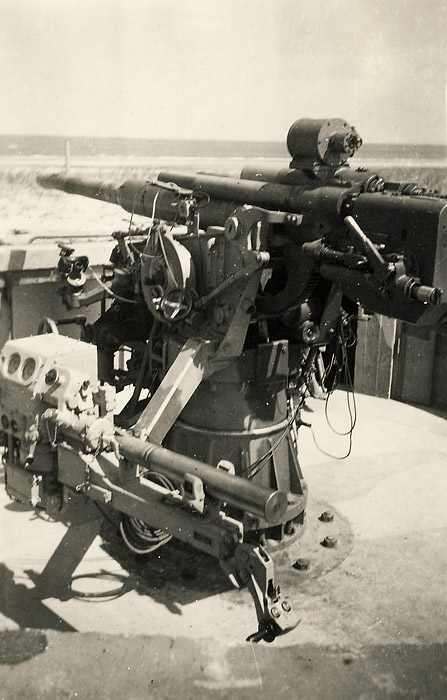 Gesch&uuml;tzstellung in den D&uuml;nen