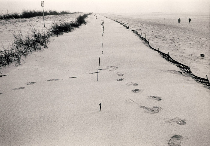 Sandfangz&auml;une im Osten