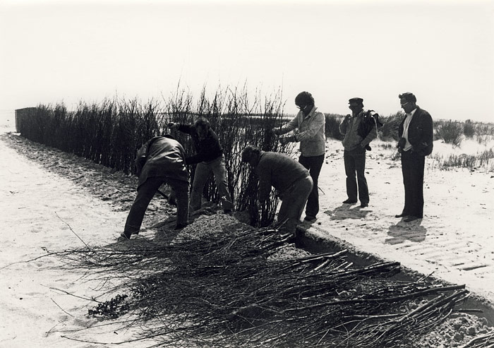 Setzen einer Buschreihe