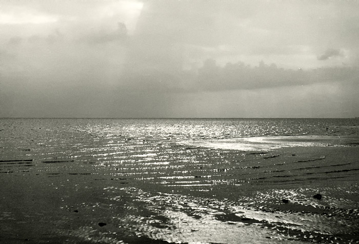 Wattenmeer im Gegenlicht