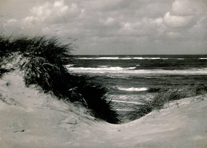 Blick aus den D&uuml;nen
