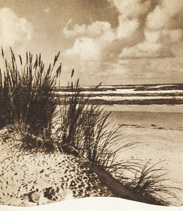 D&uuml;nen und Strand