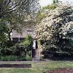 Bl&uuml;hender Wei&szlig;dorn am Dorfplatz